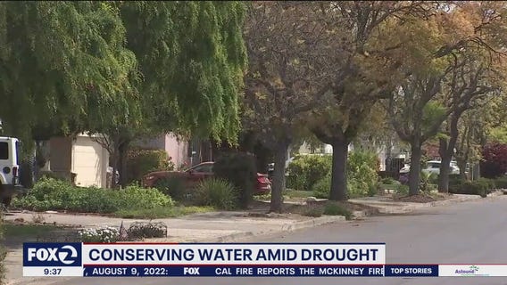 San Francisco consumers are conserving more this year