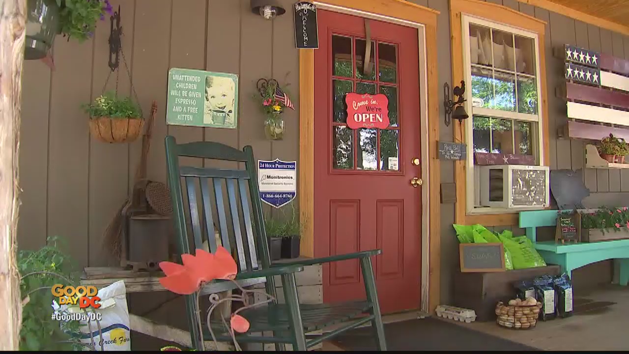 Zip Trip: Damascus | 5 Must Stops