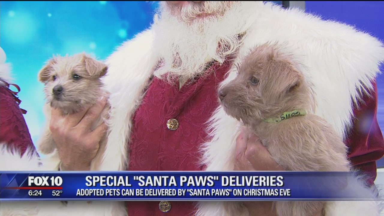MCACC offering 'Santa Paws' deliveries