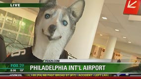 Eagles fans are riled up ahead of Super Bowl Sunday