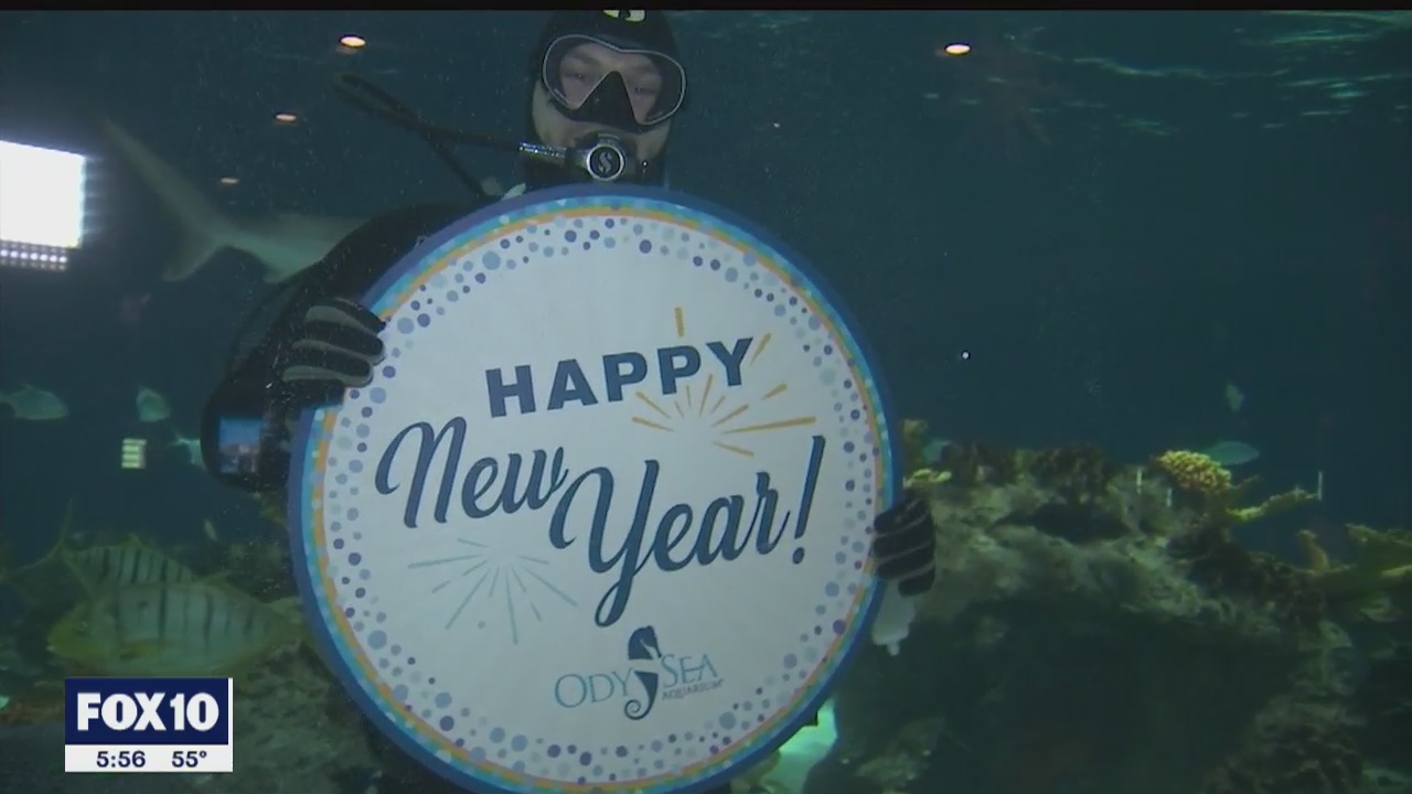 Odysea Aquarium to have a 'Fishy' New Year party