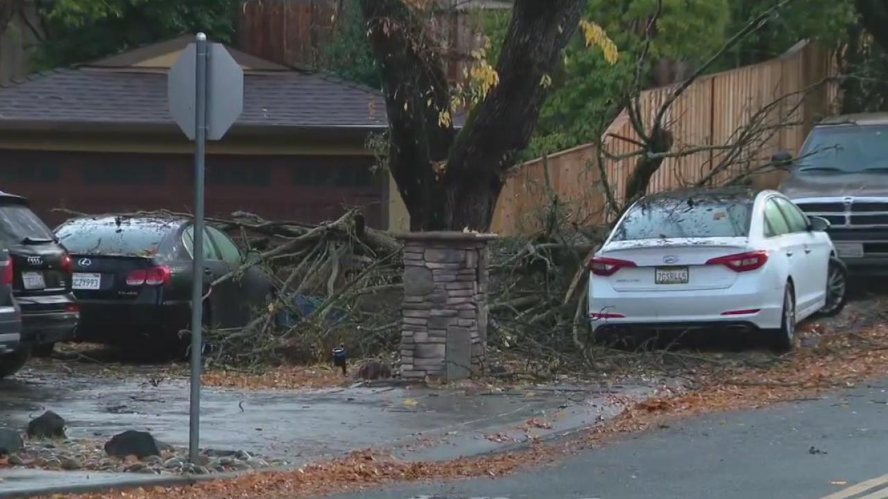 Trees land on cars following wet Bay Area storm | KTVU FOX 2