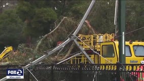 Downed trees and debris blocks Caltrain's tracks in Burlingame.