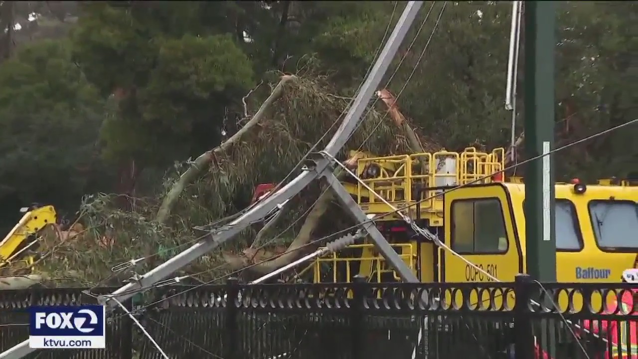 Downed trees and debris blocks Caltrain's tracks in Burlingame.