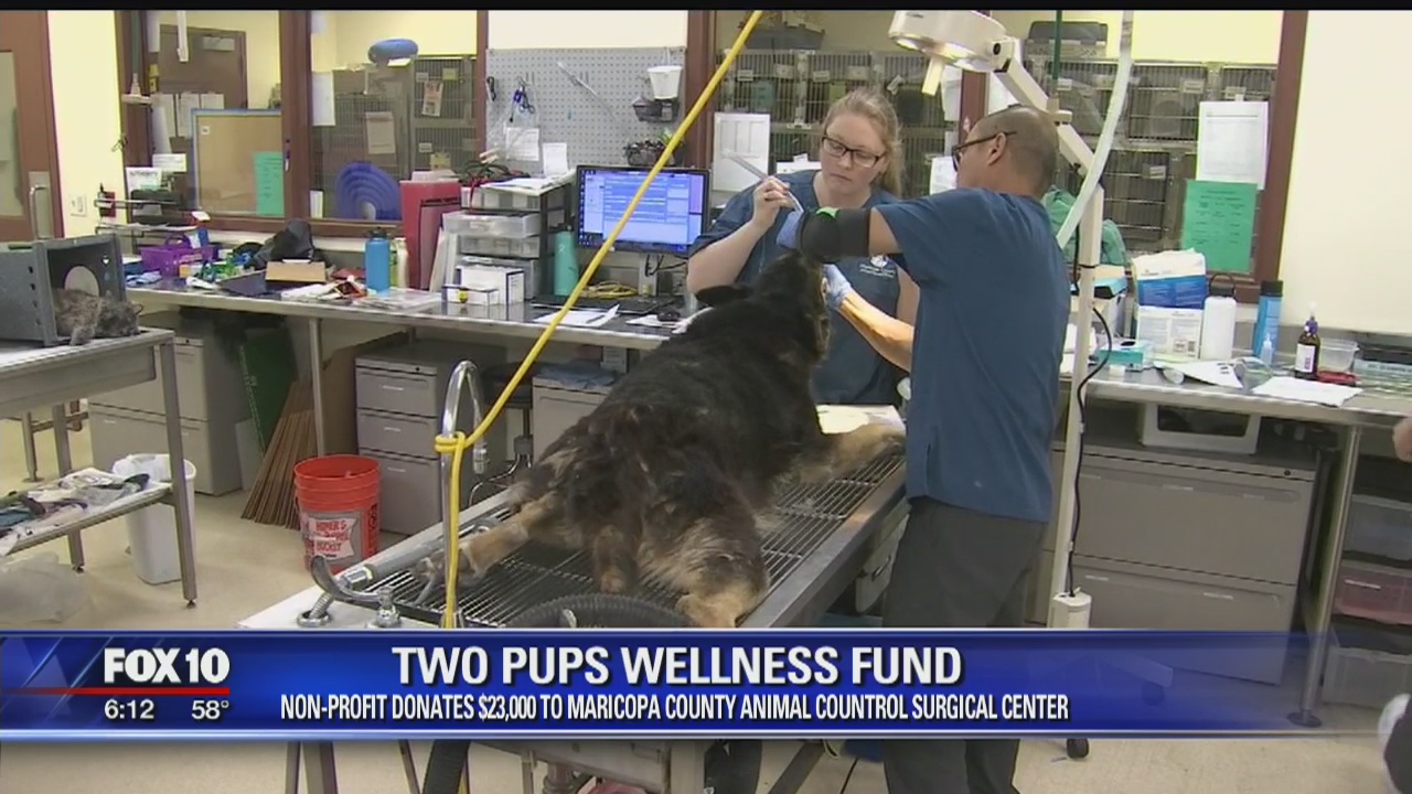 Community Cares: Two Pups Wellness Fund