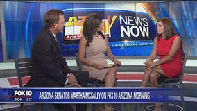 Arizona  Sen. McSally takes action in the wake of two mass shootings