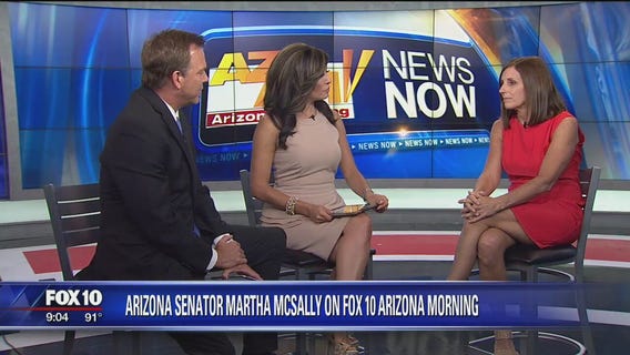 Arizona  Sen. McSally takes action in the wake of two mass shootings