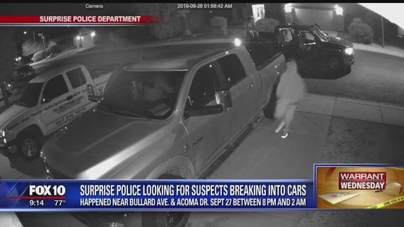 Warrant Wednesday: Surprise Police looking for car break-in suspects