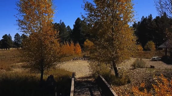 Drone Zone: The Arboretum in Flagstaff is the picture-perfect place to visit for Fall
