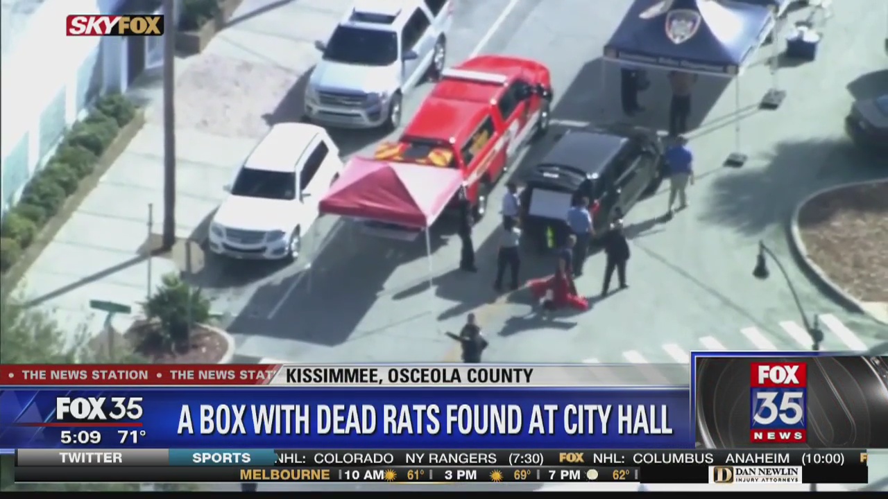 Box containing dead rats found at Kissimmee City Hall