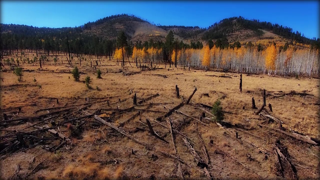 Fall color gives Arizonans a taste of autumn