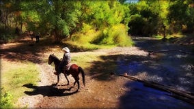 Drone Zone: An adventure unlike any other near Cottonwood