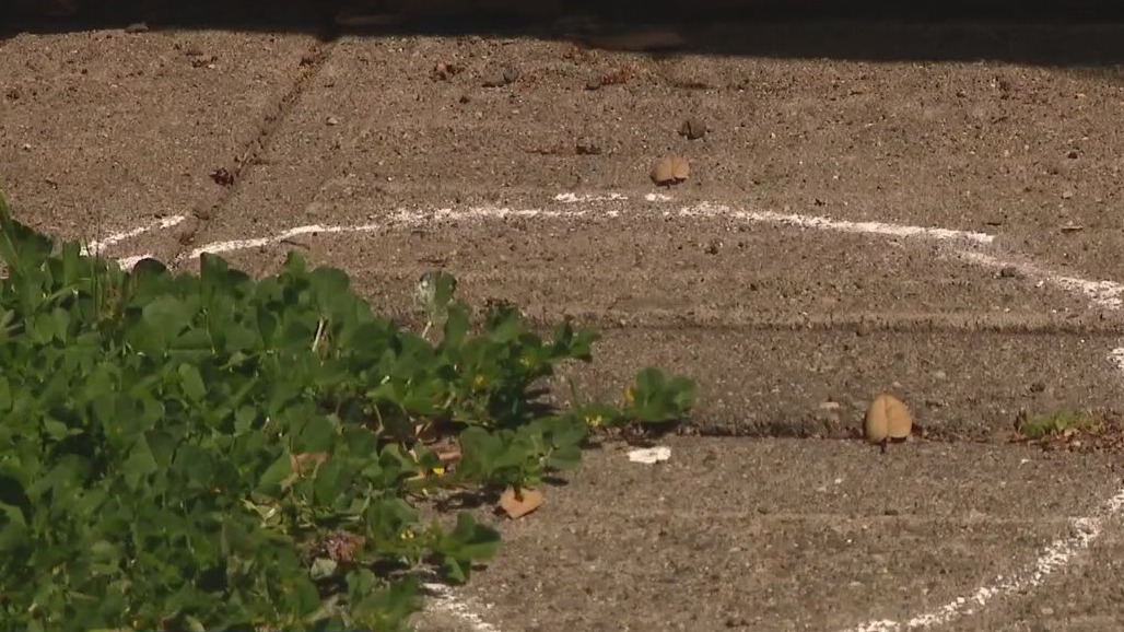 Arrest made in fatal shooting of former East Bay high school athlete