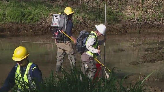 ADOT, NAU team up to preserve wildlife habitats during contruction project along the Verde River