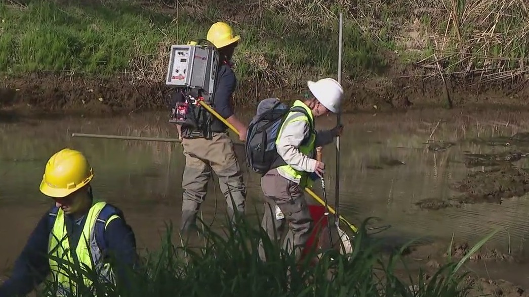 ADOT, NAU team up to preserve wildlife habitats during contruction project along the Verde River