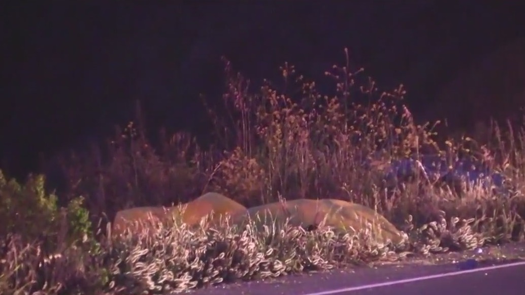 2 killed in crash off Highway 1 in San Mateo County | KTVU FOX 2