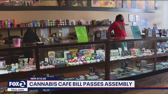 Bill allowing Amsterdam-style cannabis caf?s passes California Assembly