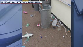 Suspect sought who vandalized Prescott Valley elementary school: Silent Witness