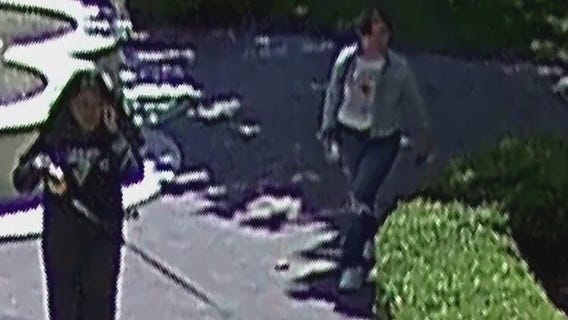 Surveillance photos of alleged dog thieves
