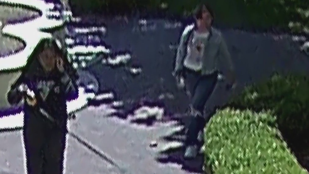 Surveillance photos of alleged dog thieves