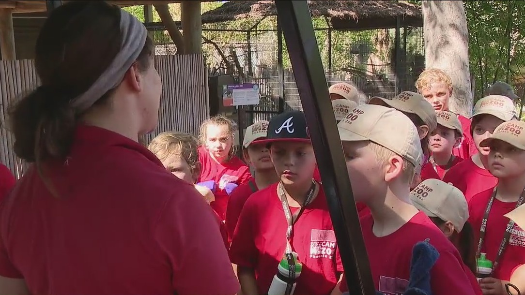 Camp Zoo underway at the Phoenix Zoo