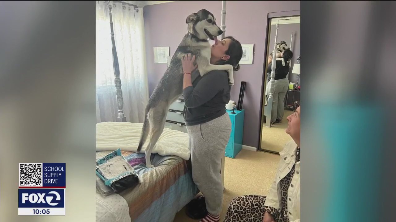 Monica De Leon, California woman abducted in Mexico, has been found