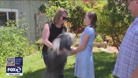 Sunnyvale's beloved pet returned after dog sitter foils extortion plot