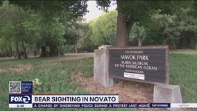 Bears seen near Novato park