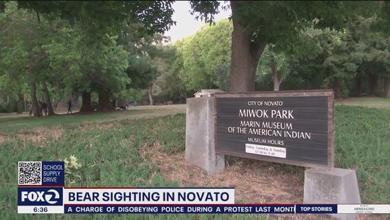 Bears seen near Novato park