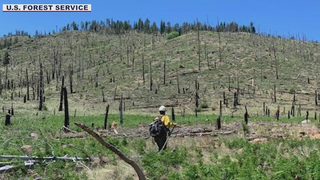 Burned Area Emergency Response team working to assess Pipeline Fire damage