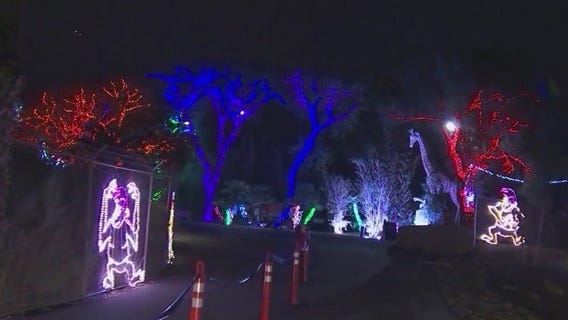 ZooLights at Phoenix Zoo being installed ahead of the holiday season