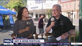 Zip Trips: Los Gatos Art and Wine Festival
