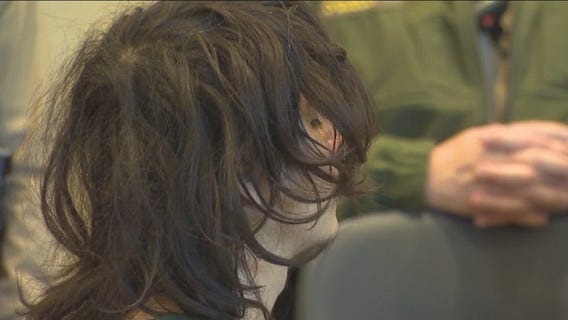 UC Davis stabbings suspect isn?t competent to stand trial, psychologist tells court