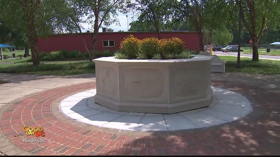 Zip Trip Hyattsville 5 Must Stops