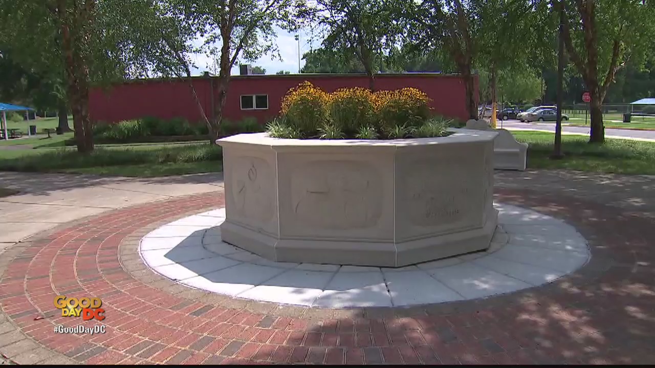 Zip Trip Hyattsville 5 Must Stops