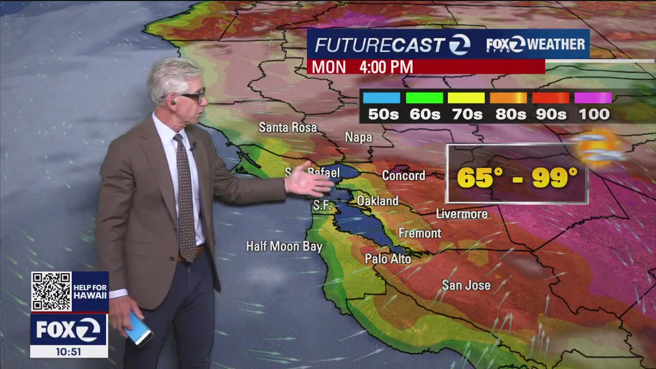 Humidity and temperatures holding steady: Weather forecast