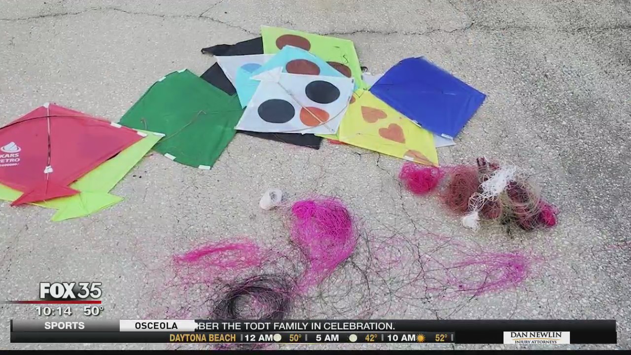 Dozens of kites litter Palm Bay neighborhood