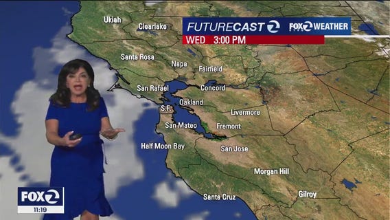 Mild weather continues