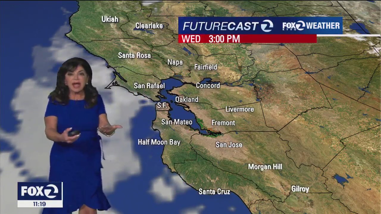 Mild weather continues