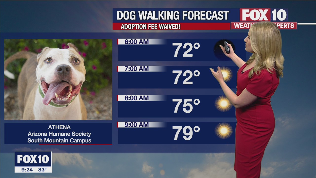 Evening Weather Forecast - 10/9/22