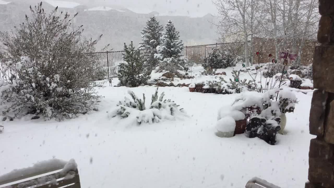 Prescott snowfall as winter storm continues in Arizona | FOX 10 Phoenix