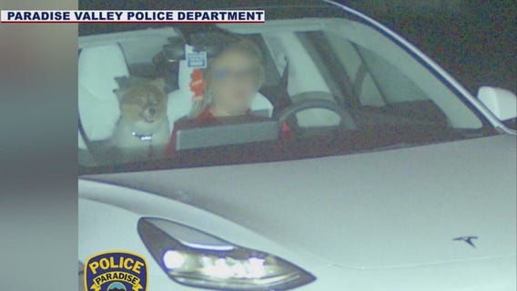 You're on camera! Dog smiles as owner was caught speeding