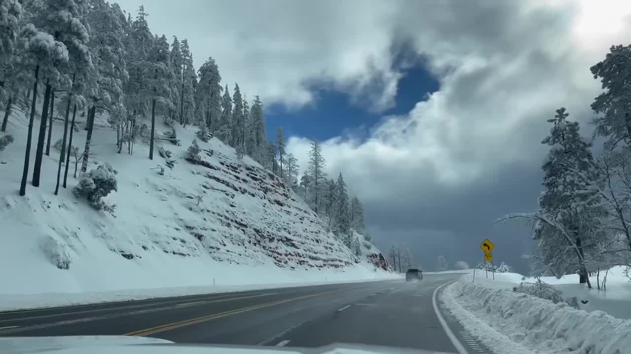 Stunning white winter scene in Forest Lakes
