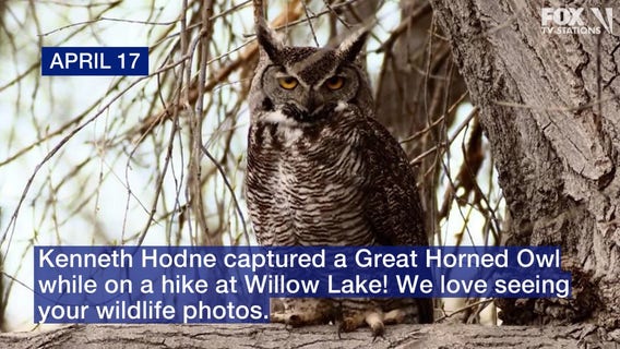 Arizona photos of the week: April 17-23