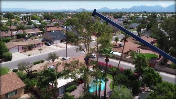 Tree removal service busy following storms  | Drone Zone