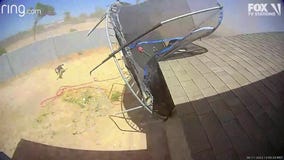 Dust devil rips through Avondale home's yard