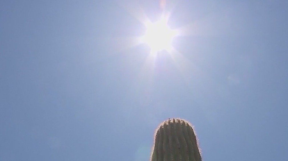 Woman says her sister died from Arizona's heat