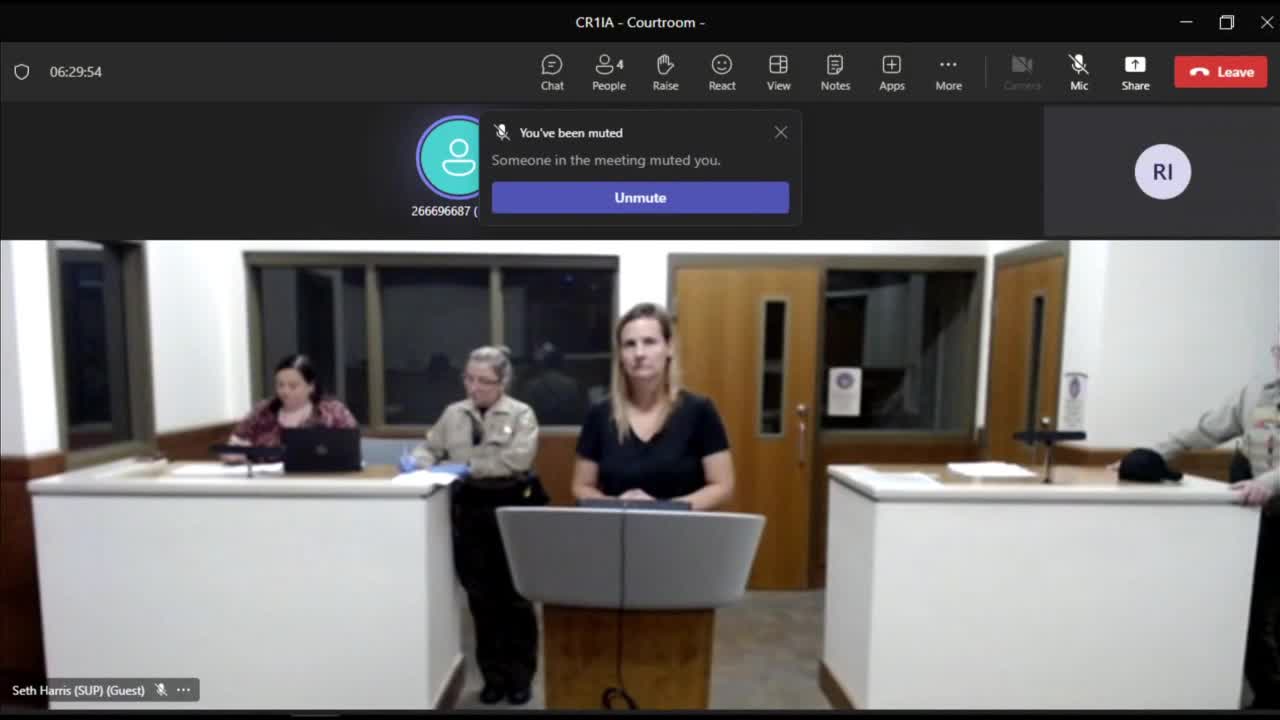 April McLaughlin in court following animal abuse allegations