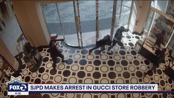 Thieves grab luxury Gucci bags