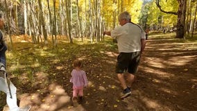 Fall foliage on display in northern Arizona